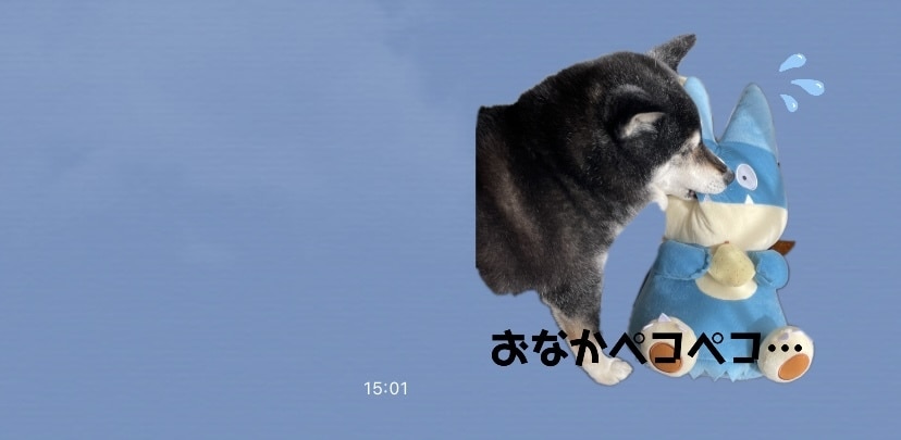 ペットなどの写真でLINEスタンプ作成します 16個で1500円！友人の誕生日などにおすすめ！ イメージ1