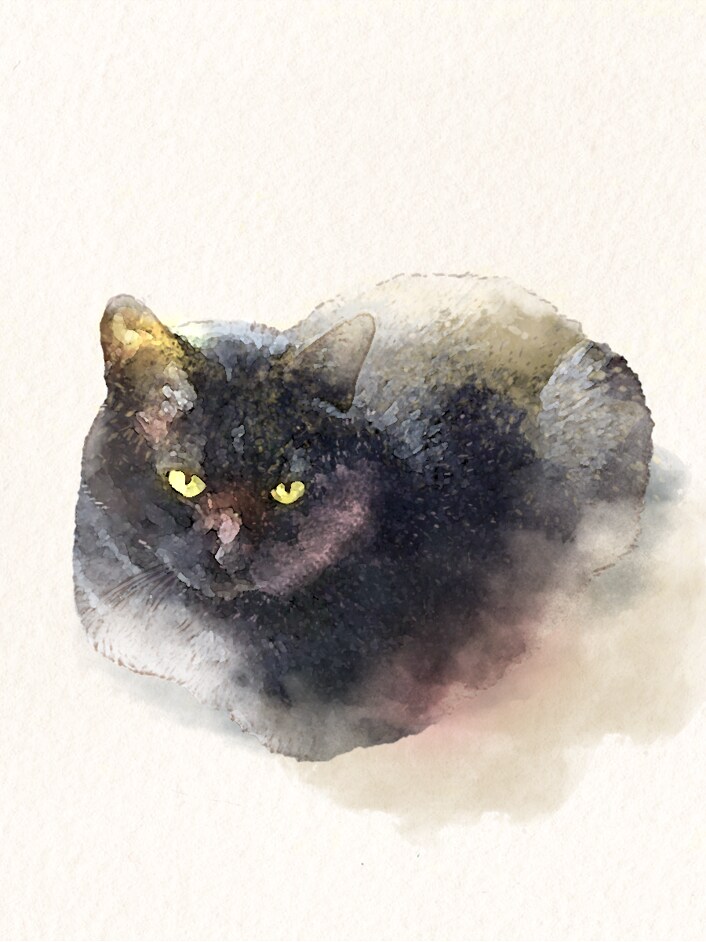 水彩風のペットの似顔絵制作いたします SNSのアイコンやスマホの待ち受けに イメージ2