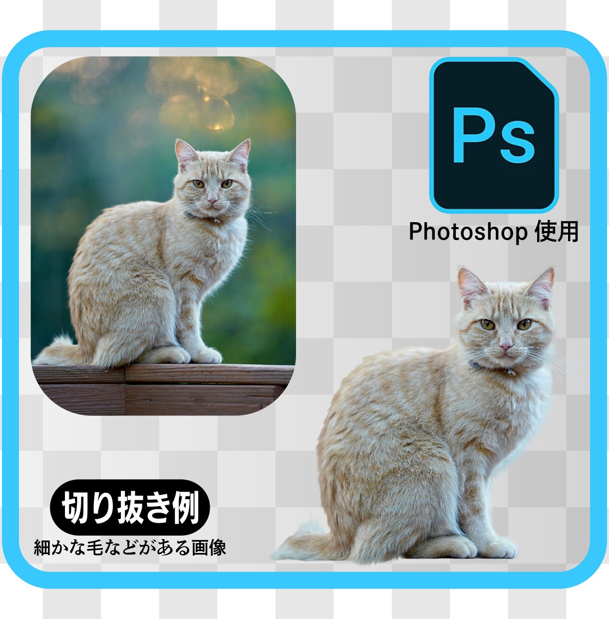 写真や画像の切り抜きいたします 商品出品や画像加工に便利な画像切り抜き加工を迅速に行います イメージ3