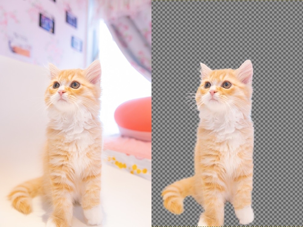 猫や犬などの画像をふわふわのまま透過加工します ペットの写真を透過し合成やオリジナルグッズに利用できます イメージ1