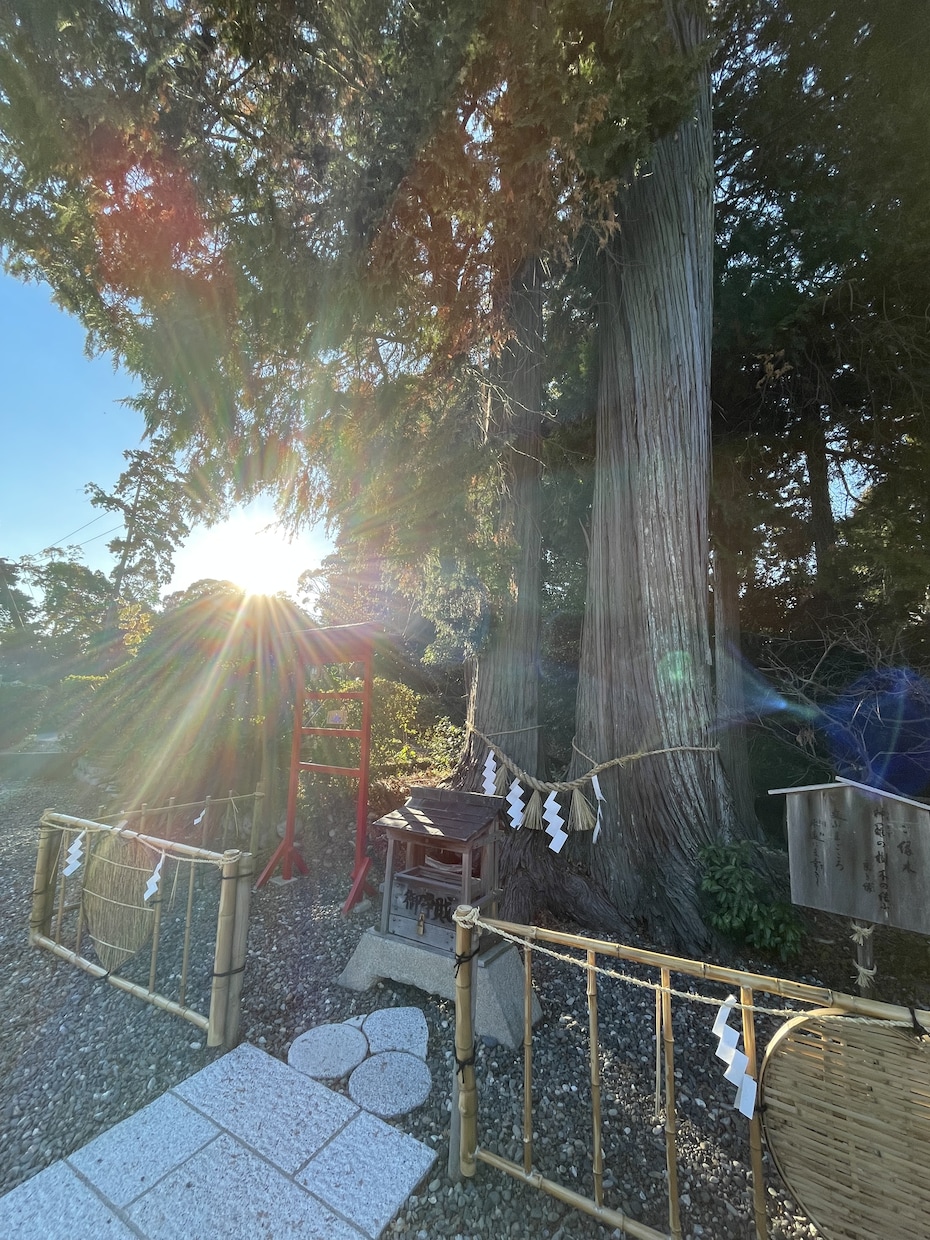 リピーター様用ご家族の産土神社&鎮守神社鑑定します ご家族さまの産土神社・鎮守神社にもお参りしましょう！ イメージ1