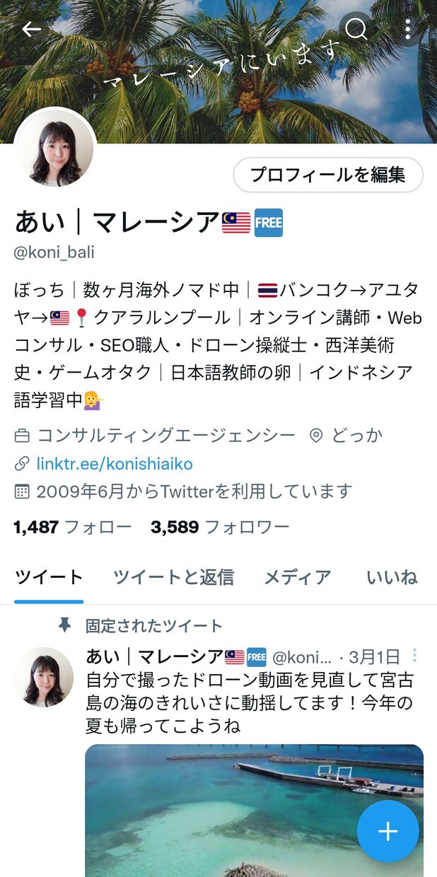 SNSを使った効果的な集客＆運用について提案します 趣味・ビジネスどちらでも。同業者さん、Web関係の方歓迎です イメージ8