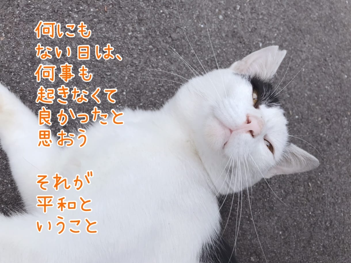 もっと楽しく毎日を過ごせるように、笑顔へと導きます ★自分を好きになりたい、自信を持ちたいあなたを全力でサポート イメージ4
