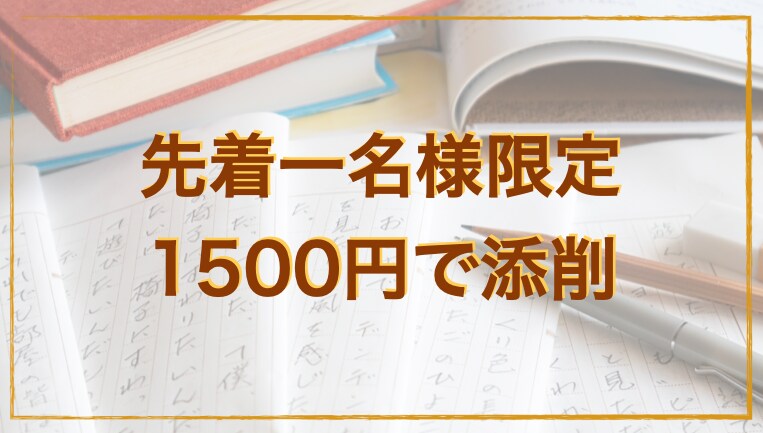 ブログ記事添削し、執筆のコツをお伝えしますます 雑記ブログ1つで月10万達成したブロガーが本気でアドバイス イメージ1