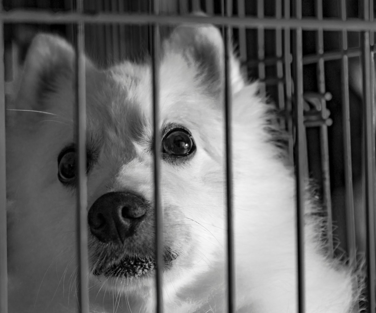 依存傾向・否定癖を浄化し本来の軽いあなたへ戻します 引っ張られる重たいエネルギー（低級霊）をやさしくデトックス イメージ3