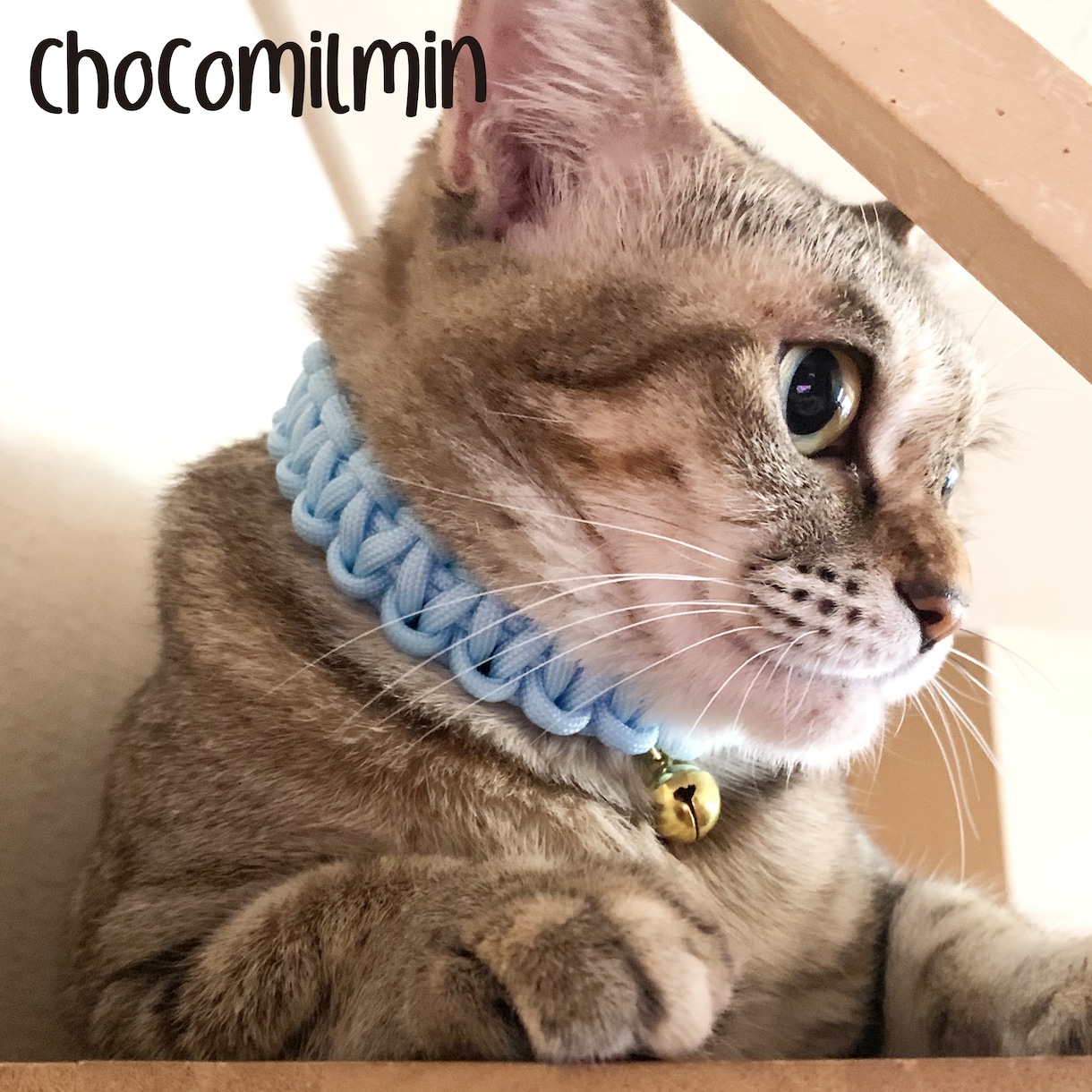 愛猫ちゃん用の首輪お作りします オリジナルの首輪で愛猫ちゃんの首元をオシャレに♪ イメージ3