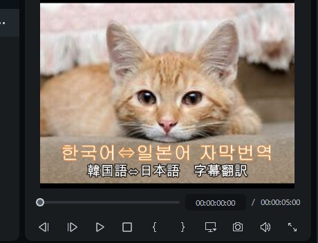 YouTubeに日⇄韓翻訳つけます 動画編集ソフトを使い字幕翻訳致します。 イメージ1