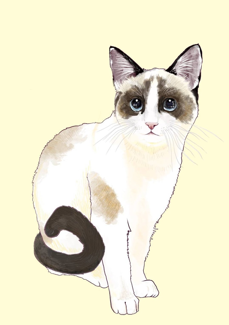 ペットイラストのオーダー受付けます おもしろオーダーもお客様の要望通りにペットイラスト受け付け イメージ2