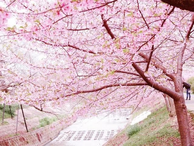 10代が相談になります よく相談に乗る10代男子があなたのお悩み解決しちゃうかも？？ イメージ1