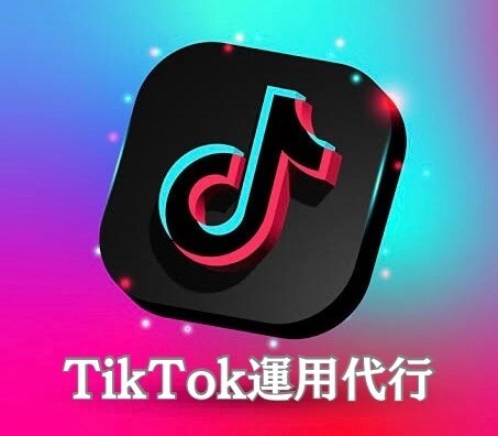 フォロワー14万人の責任者がTikTok運用します 企業店舗様の集客採用の悩みをTikTokで解決致します イメージ1