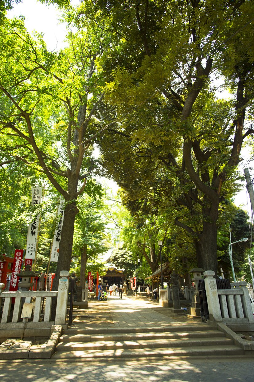 東京23区内の「今」を高解像度スナップしてきます サブスクやフリー素材ではない現在の街の画像が欲しい！ イメージ5