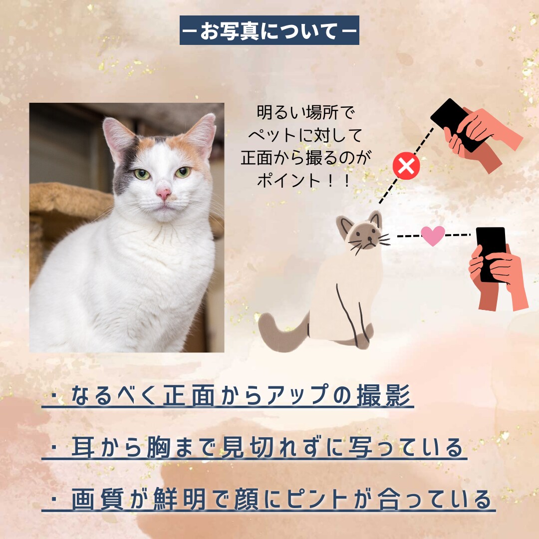 イラストでペットのアイコンをデザインします 背景透過データ付き！二次加工商用利用OK！追加料金なし！ イメージ7