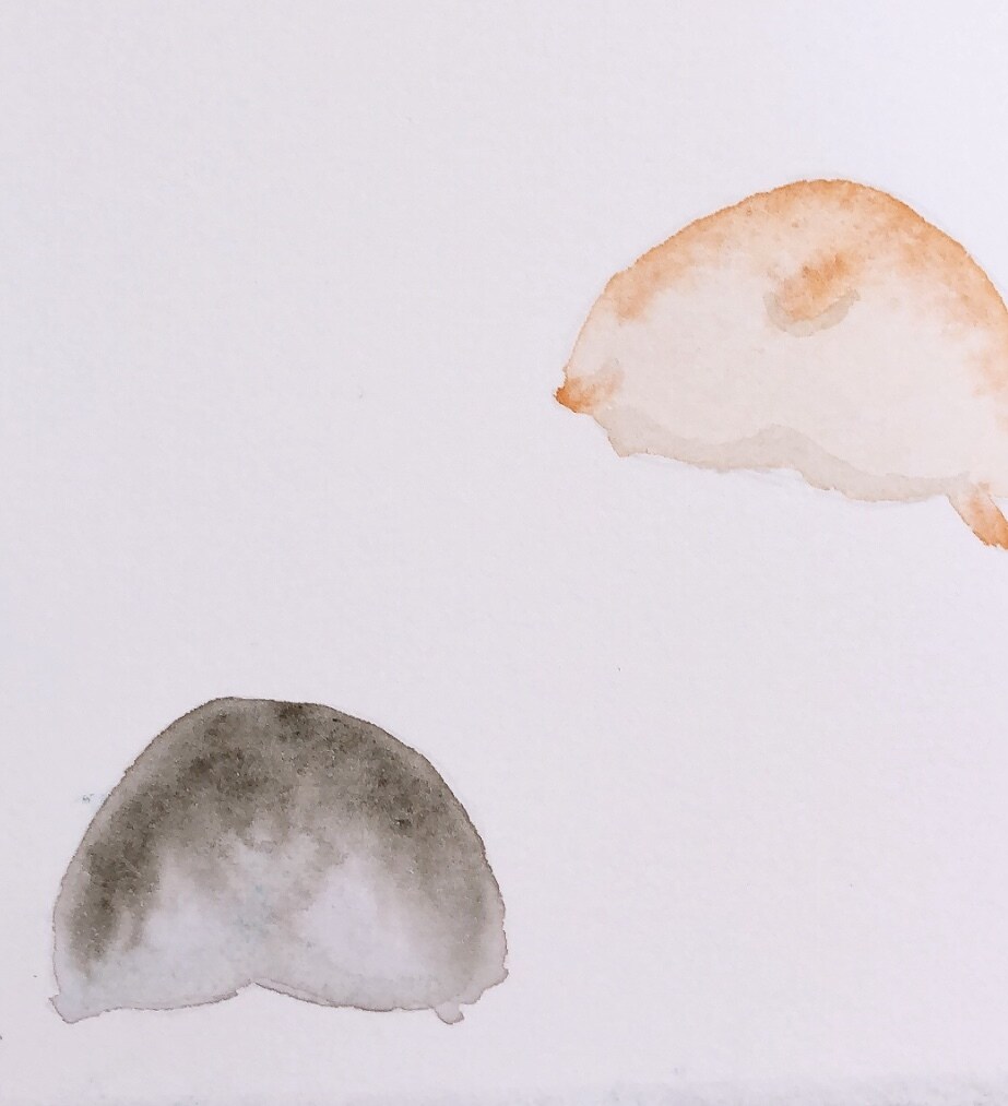 やわらかな気持ちになれる、優しいイラストを描きます ブログ・X・Instagramに！動物・ミニキャライラスト イメージ5