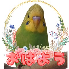 ペットの写真をかわいいラインスタンプにします ペットのオリジナルラインスタンプを低価格でお作りします イメージ8