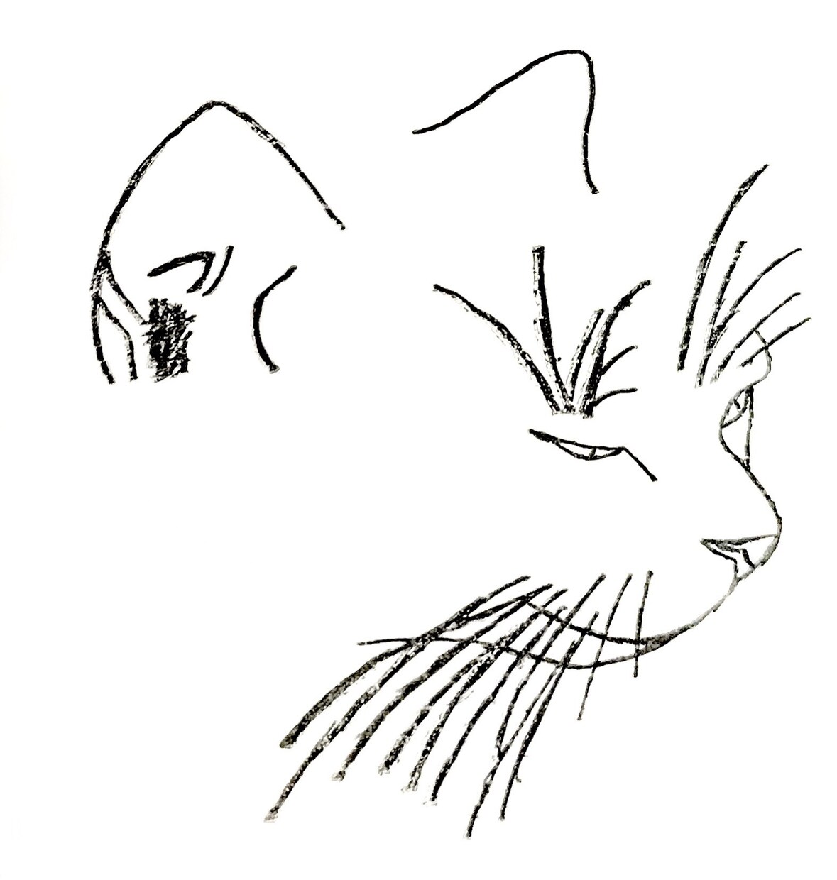 飼っているペットの絵を描きます ちょっとアニメっぽさのある絵や、逆にリアルな絵を描いたり イメージ6