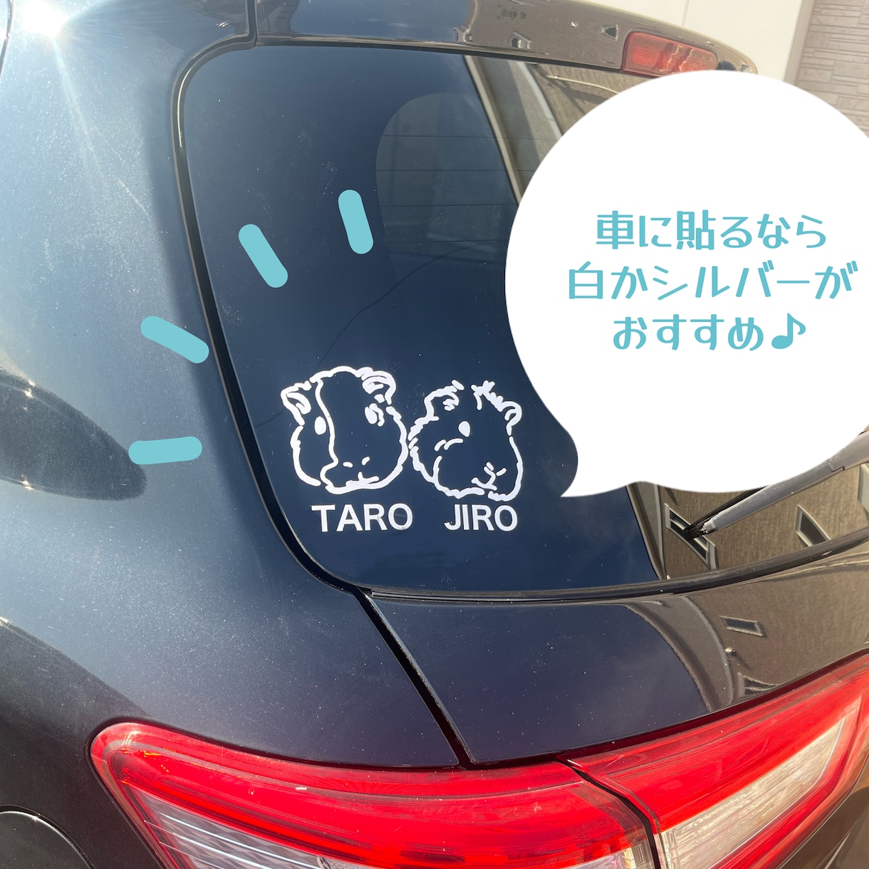 うちの子ステッカー⭐︎ペットのステッカー作ります 【車や外ドアに貼れる！】オリジナルのステッカー作りませんか？ イメージ4