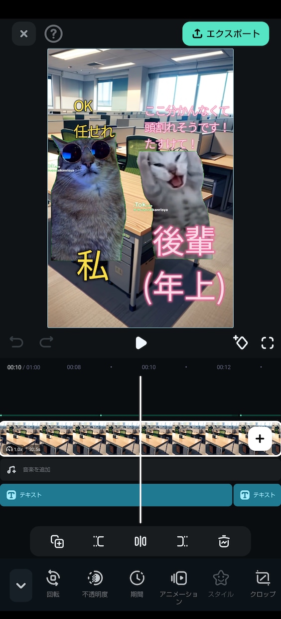 特殊な猫ミーム動画作ります 画像生成AIを使用し、オリジナル猫ミーム動画を作りましょう！ イメージ1