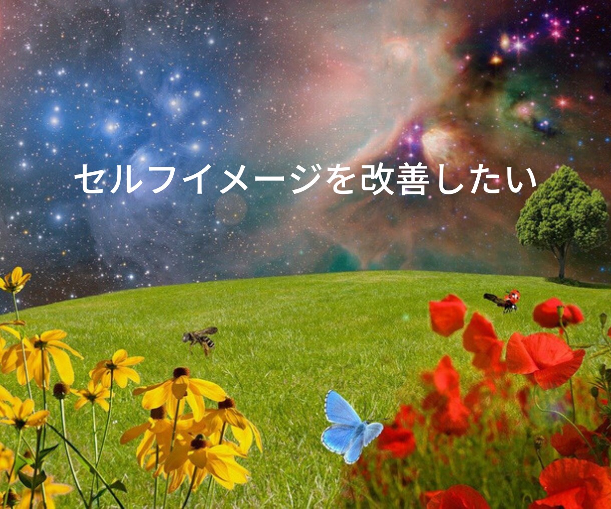 心の迷い不安から解放される方法をお伝えします 老若男女問わず、悩みを解消しセルフイメージを改善したい方 イメージ4