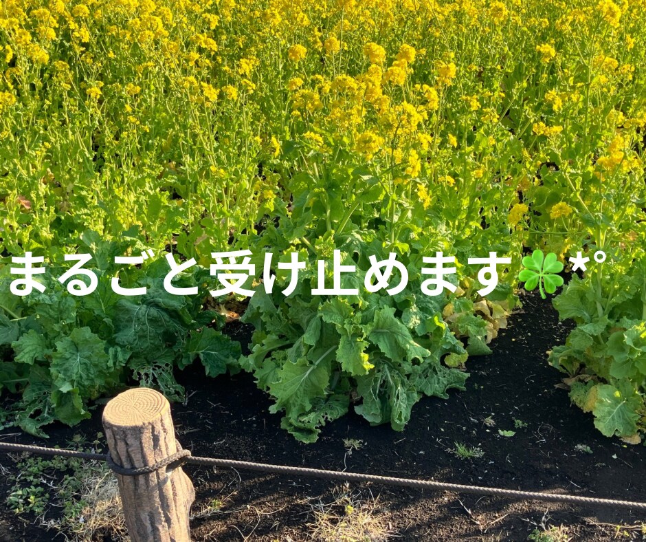 1分からOK！気分変調性障害当事者が寄り添います 症状/うつ病との違い/双極性障害との違い/悩み/不安 イメージ3