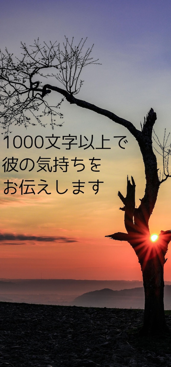 即日鑑定！1000字以上で彼の気持ちを見ます 恋愛に特化！迅速、充実な鑑定で彼の気持ちを視ます イメージ1