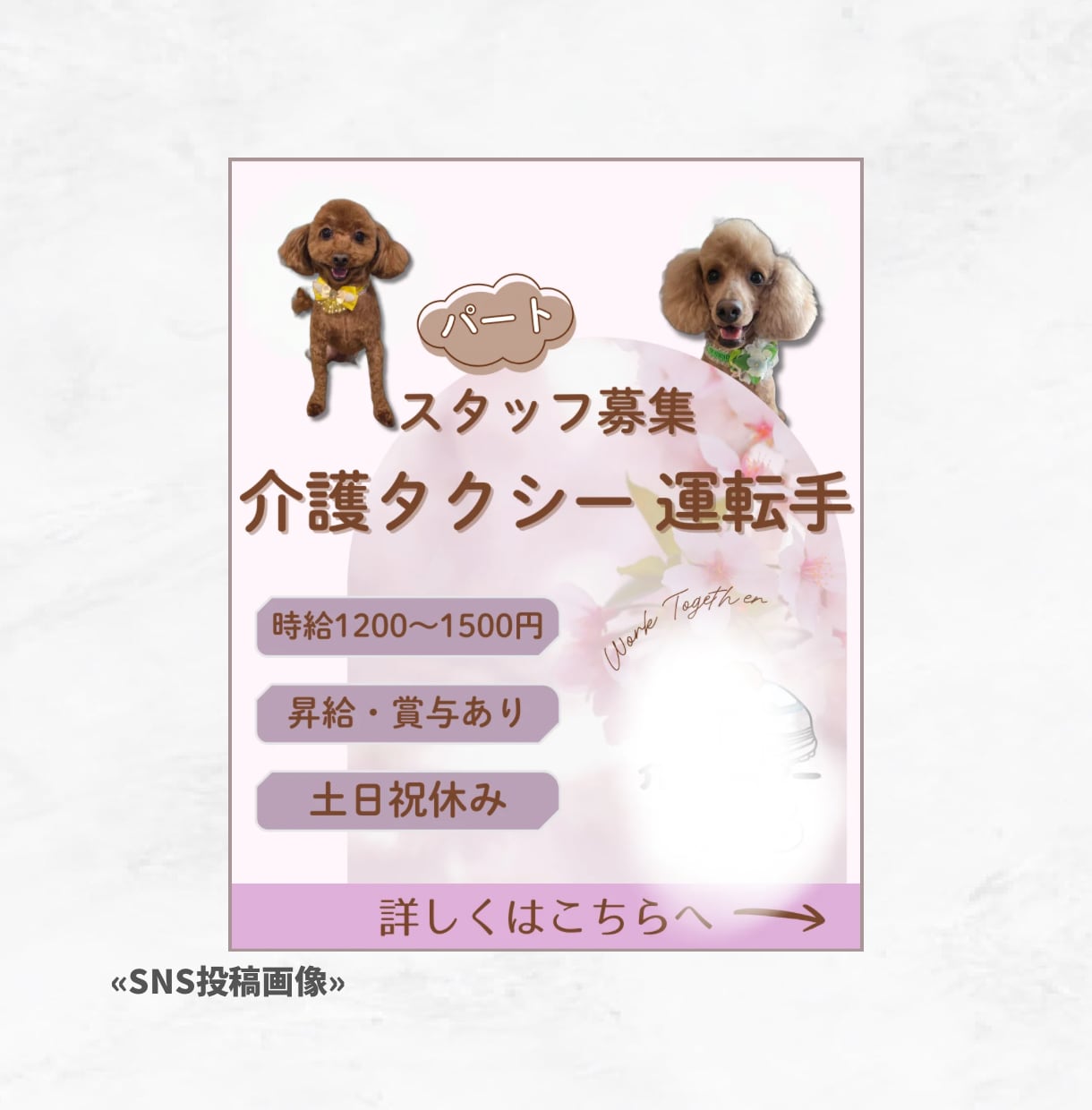Canva(キャンバ)デザイン/Web画像作ります 本業で売上貢献実績有 バナー:サムネイル:SNS投稿画像など イメージ3