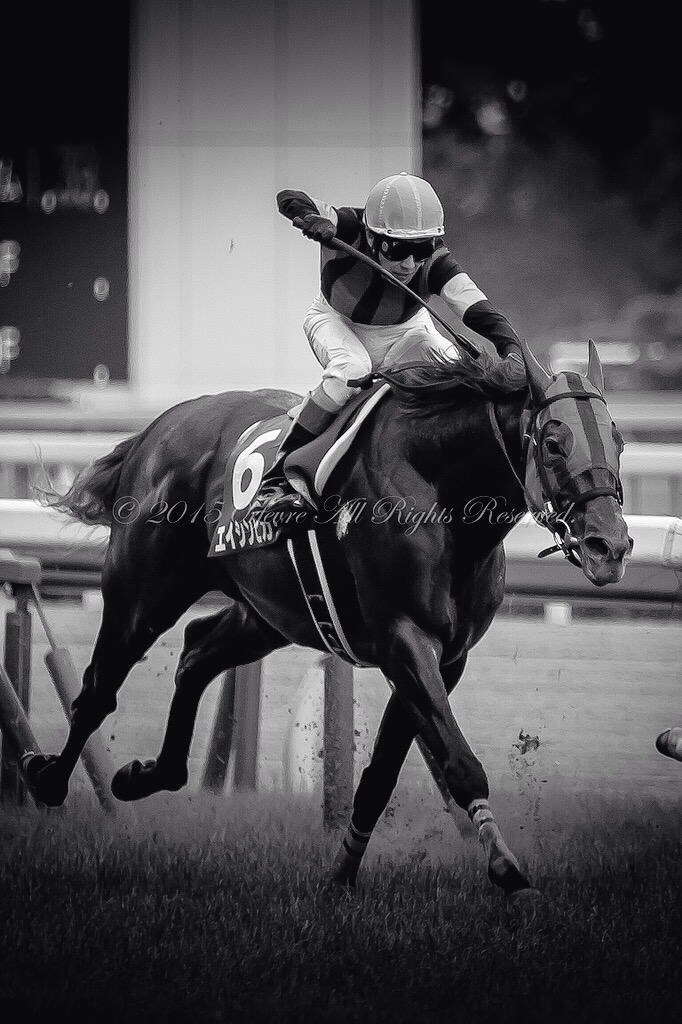 jra全レースの予想を載せます 全レースの本命と対抗、複勝圏内確勝級の馬の紹介もします。 イメージ1