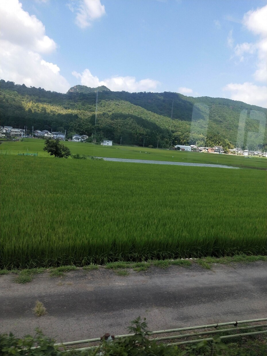 自然豊かな癒しの景色撮ります ミラーレスカメラで癒しの田園風景を撮影します！ イメージ3