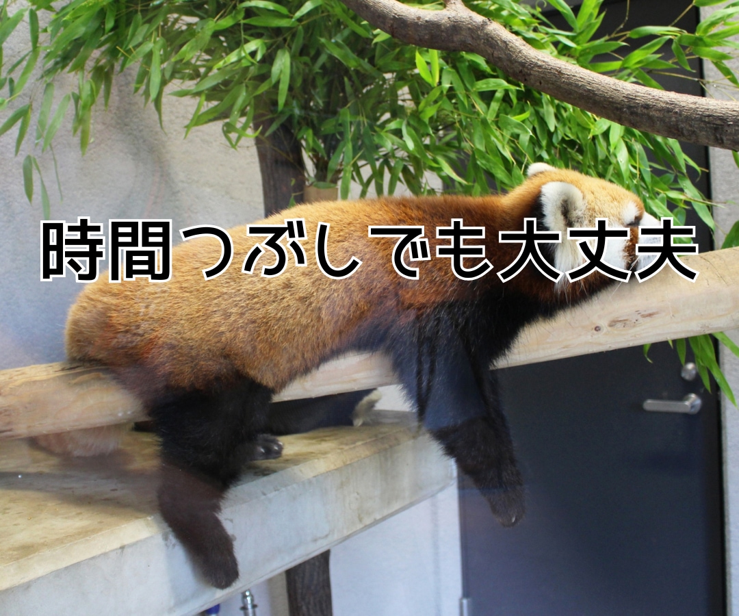 ワンコインで30分⭐️集中チャットでお話しします LINE感覚でお手軽に・電話が苦手でも大丈夫!話してスッキリ イメージ7