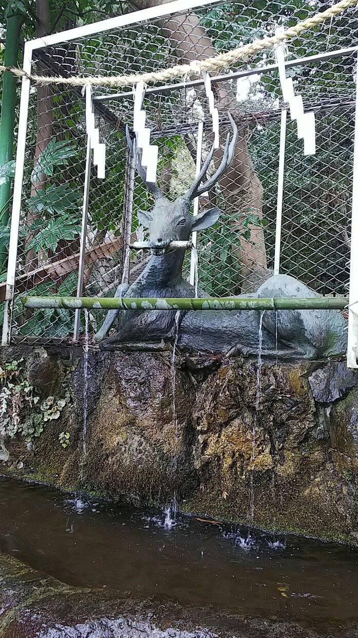 神社に代理参拝します 京都・奈良・大阪内の神社参拝おまかせあれ イメージ1