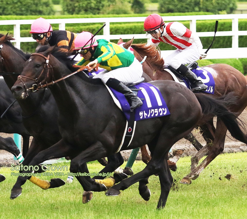 大井競馬・究極の馬券術教えます 競馬（大井競馬等）に興味のある人 イメージ1