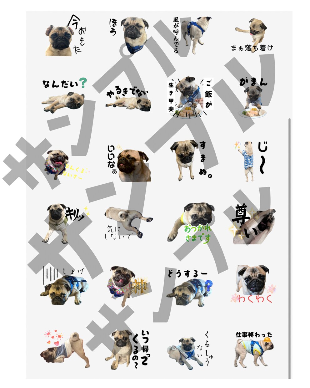 かわいい愛犬のLINEスタンプを作成します 愛犬家だからこそ作れる！あなたのうちの子スタンプを作ります♡ イメージ3