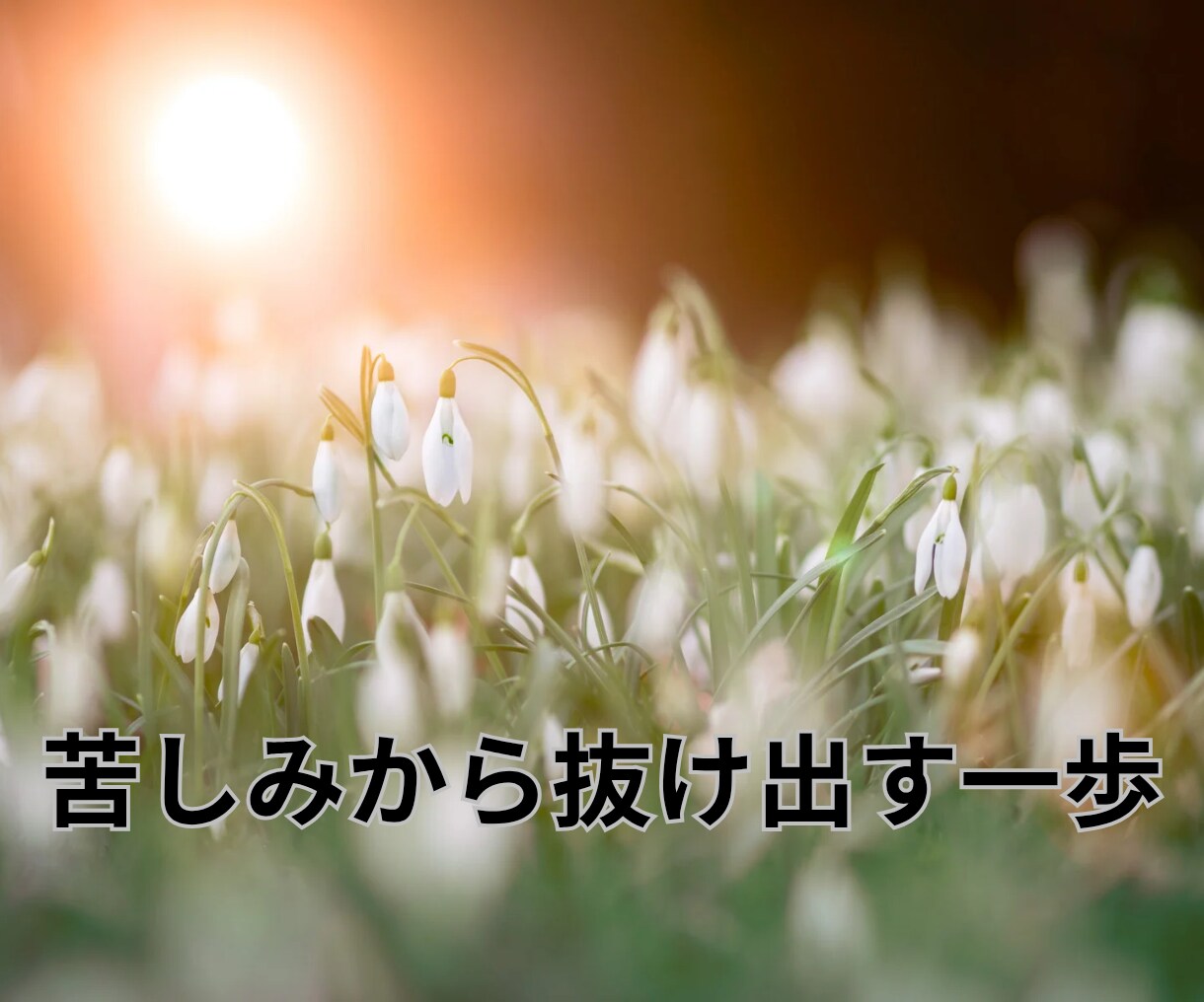 ロマンス詐欺…不安、喪失感、後悔、全てお聴きします ✴被害者同士だから話せる！苦しみから抜け出す一歩を私と一緒に イメージ7