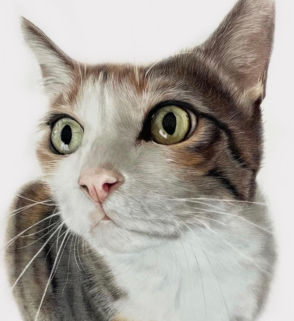 あなたのペット・犬・猫などの似顔絵を描きます 写真のようなリアルな あなたのペットのイラストを製作します イメージ1