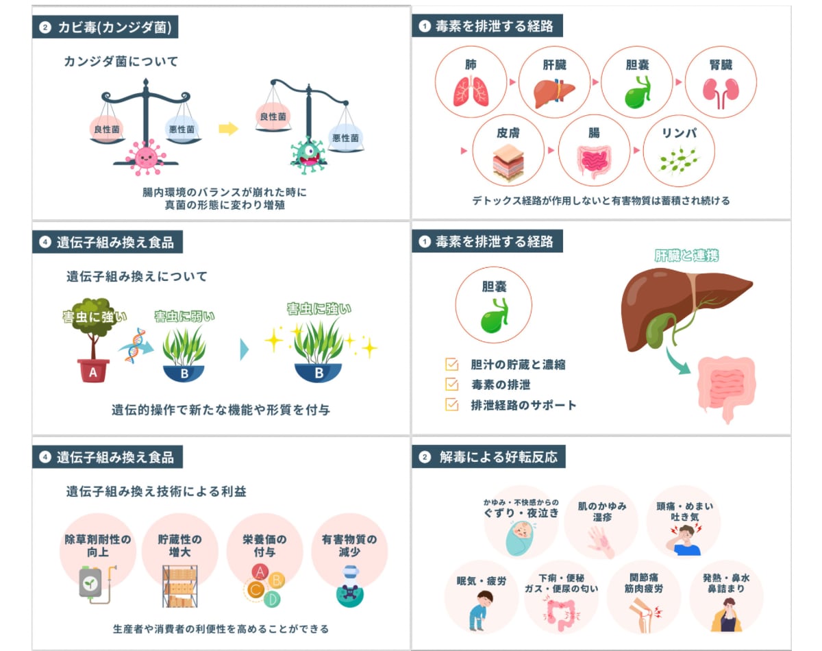 看護師がCanvaキャンバで医療系資料を作成します 見やすく伝わる◎高クオリティ◎優しい雰囲気 イメージ5