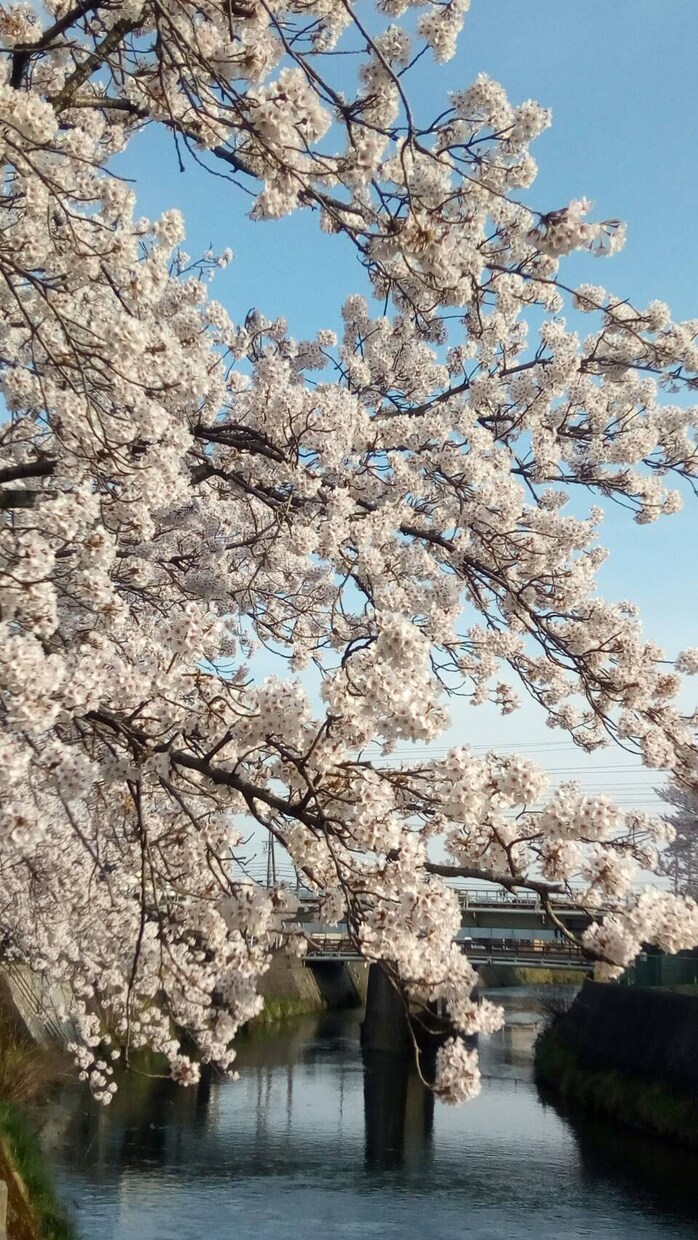 電話占い❤️恋愛に関するお悩み占います 未来は変えられます。幸せな未来を手に入れましょう。 イメージ1