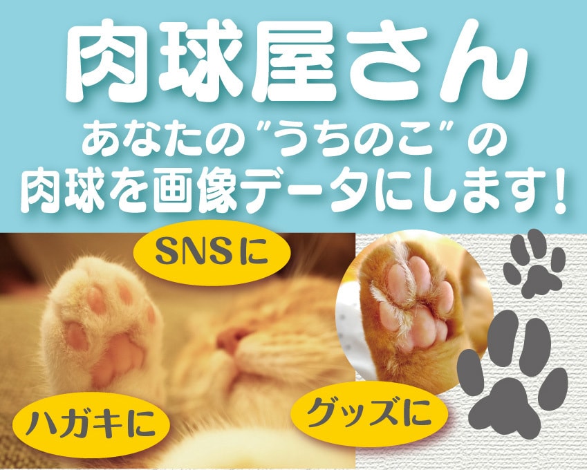 あなたの"うちのこ"の肉球を画像データにします "うちのこの肉球"をSNSやグッズに使えます!! イメージ1