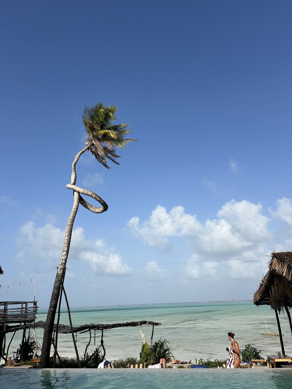 初めてのタンザニア旅の旅行プランの相談をします あなたのタンザニア旅、もっと特別に イメージ10