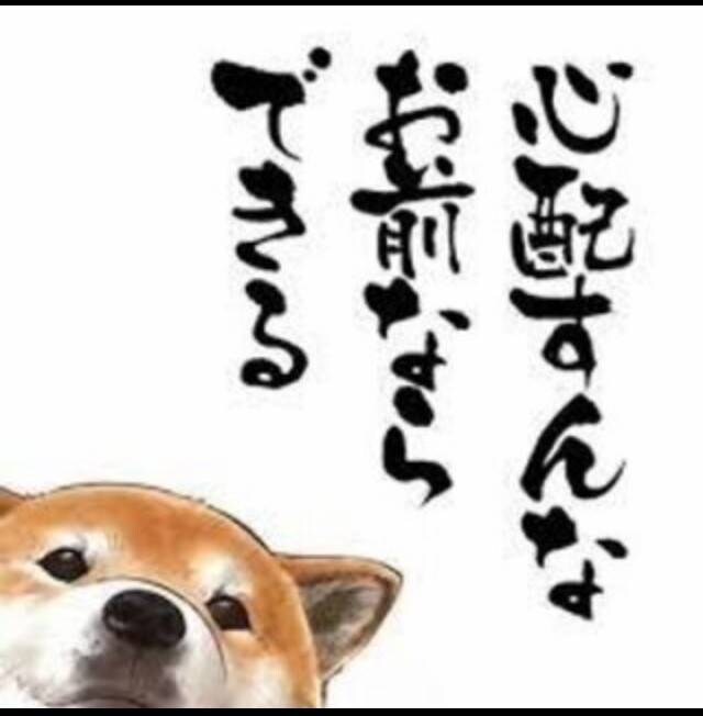 投資のメンタルバイブルを提供します ☆FXに悩んだらまず見てほしい☆再起するための心得まとめ☆ イメージ1