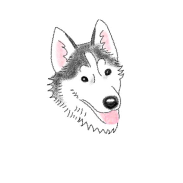 愛犬のイラストを描きます 世界一可愛いあなたの愛犬イラスト柔らかいタッチのイラスト イメージ5