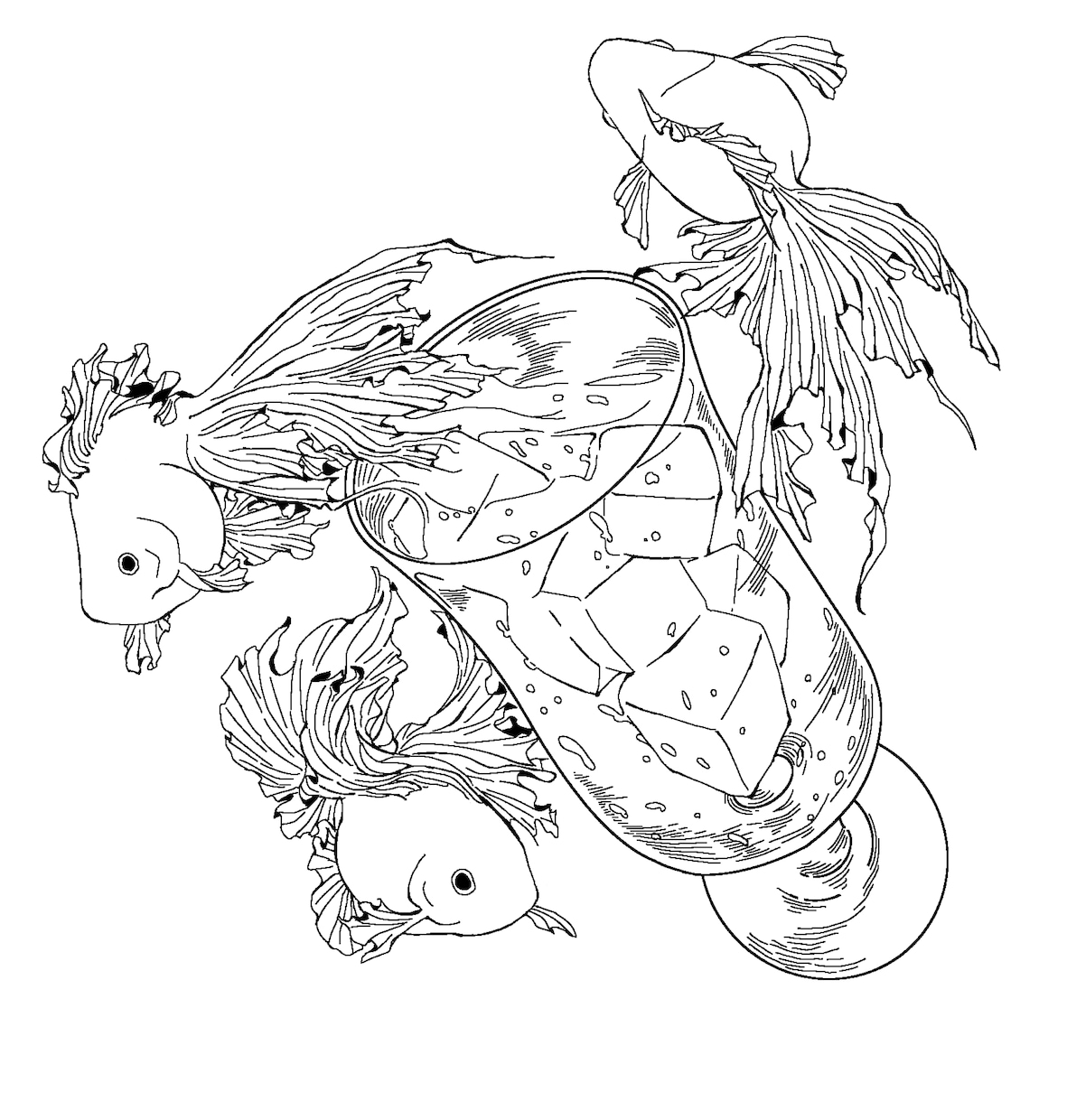印象に残る一枚を制作！挿絵・ジャケット対応します 植物・金魚・骨などのモチーフを、雰囲気あるペン画で表現！ イメージ3