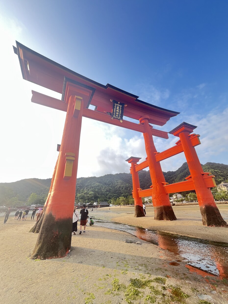 豊穣の調律──豊かさが巡る流れを後押しします 仕事・お金・ご縁・チャンス ∞ 恵みを呼び込む波動・周波数へ イメージ9