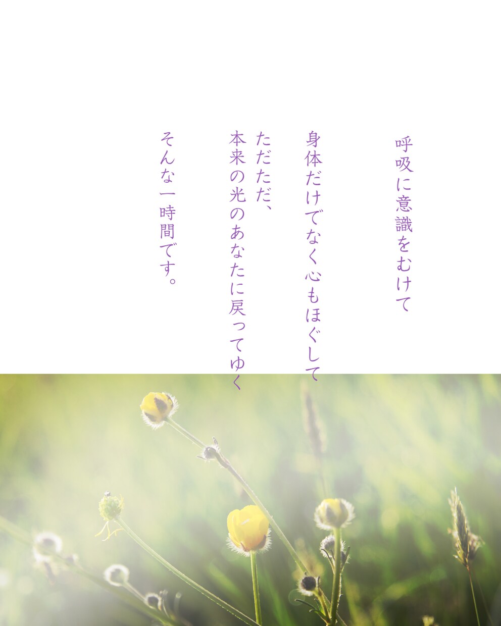 ヒーリングヨガを行います 呼吸に意識をむけて身体だけでなく心もほぐすお手伝いをします イメージ2