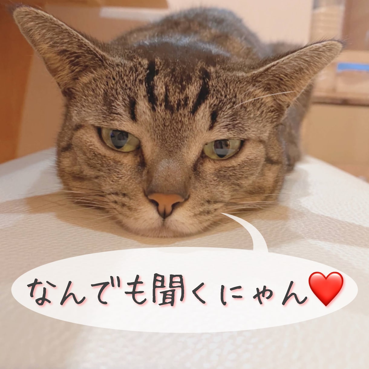 ママさんの話聞きます ご主人や子育ての愚痴、ママ友の悩みなどなど何でも聞きます イメージ1