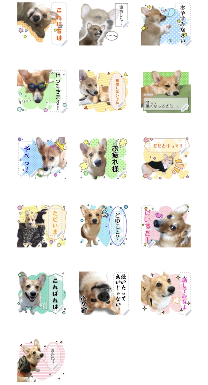 ペットのLINEスタンプ作ります 皆様の大事なご家族をLINEスタンプにしてみませんか？ イメージ1