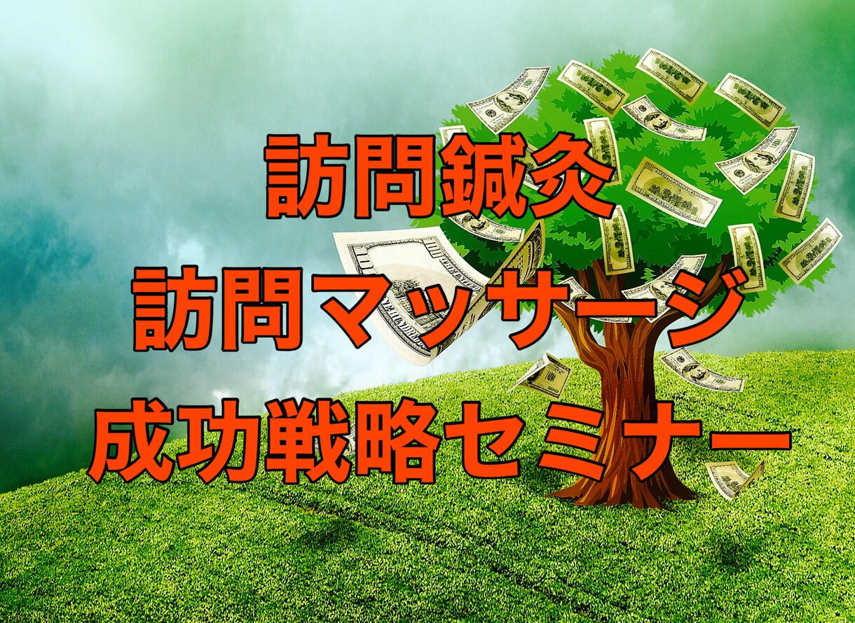 訪問鍼灸マッサージの成功戦略を教えます ★基本から実践的な運営方法と集客方法(2時間4分) イメージ1