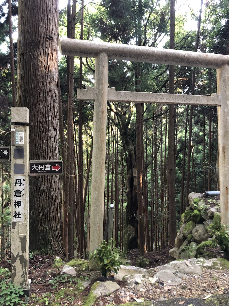 生まれた時の愛を思い出すヒーリングを流します バースデーヒーリング   愛しかなかったあなたに出会う イメージ5