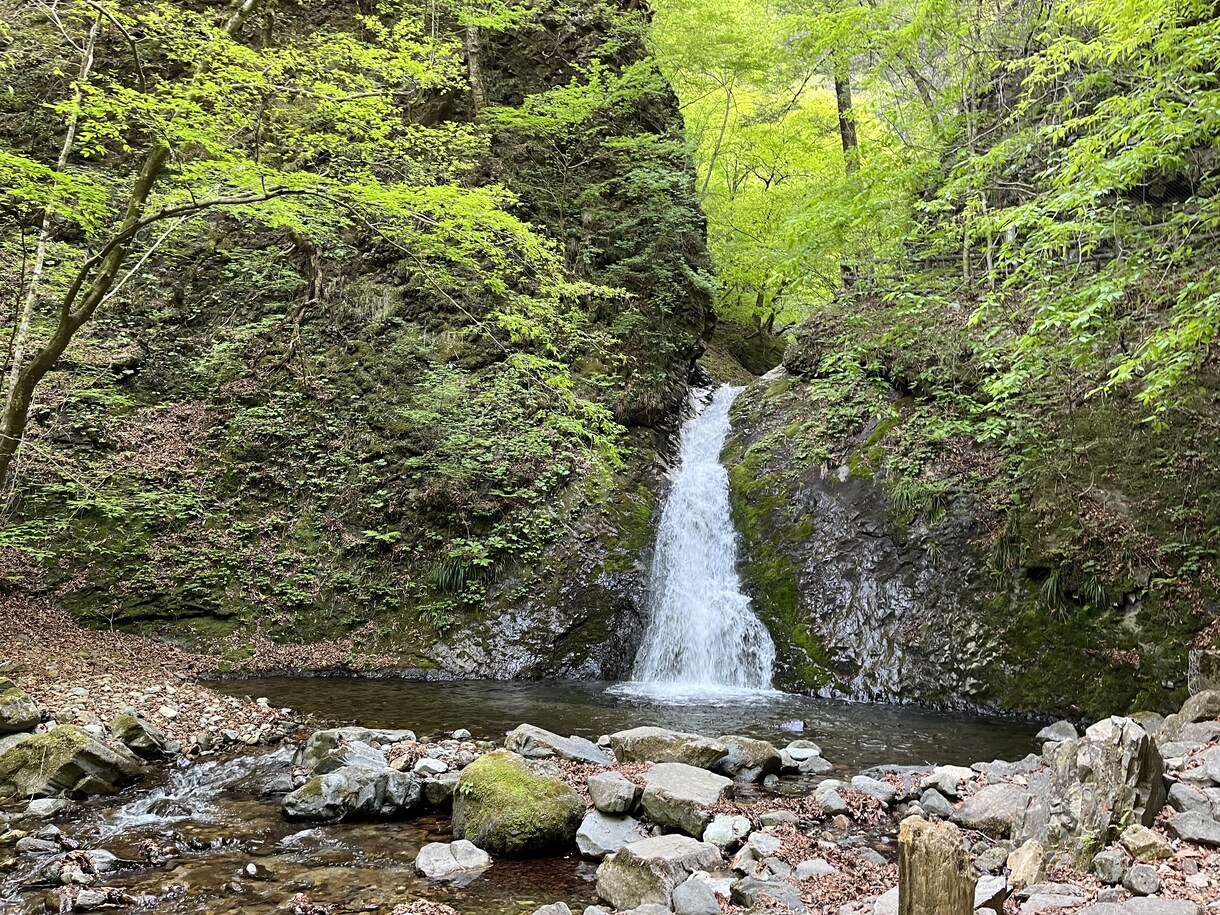 あなたの人生に光が差し込むように全力で向き合います あなたの人生が少しでも前向きに進んでいく手助けをしたいです。 イメージ1