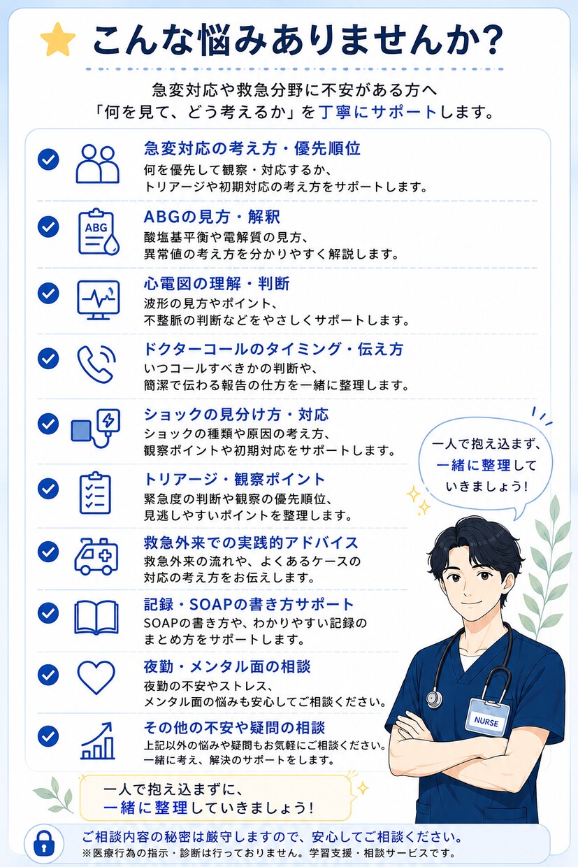ICU・救急経験ナースが急変対応をサポートします ABG・心電図・ショックなどを分かりやすくサポートします イメージ4