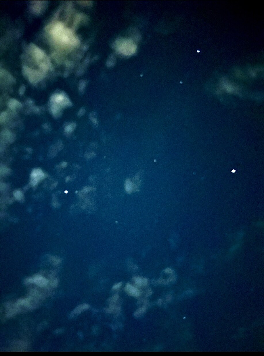 夜の写真や夕日の写真を撮ってます 和歌山県のホテルから撮りました。星空が多いです イメージ6
