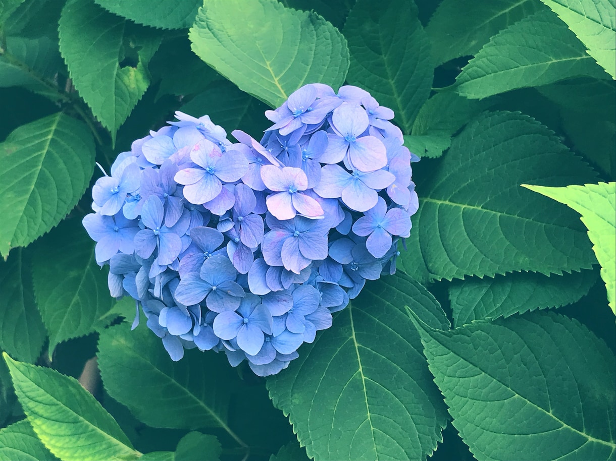 あなただけに密着して◎何でもお話お伺いします 悩みや愚痴、相談、なんでもない会話などなんでも受け付けます！ イメージ1